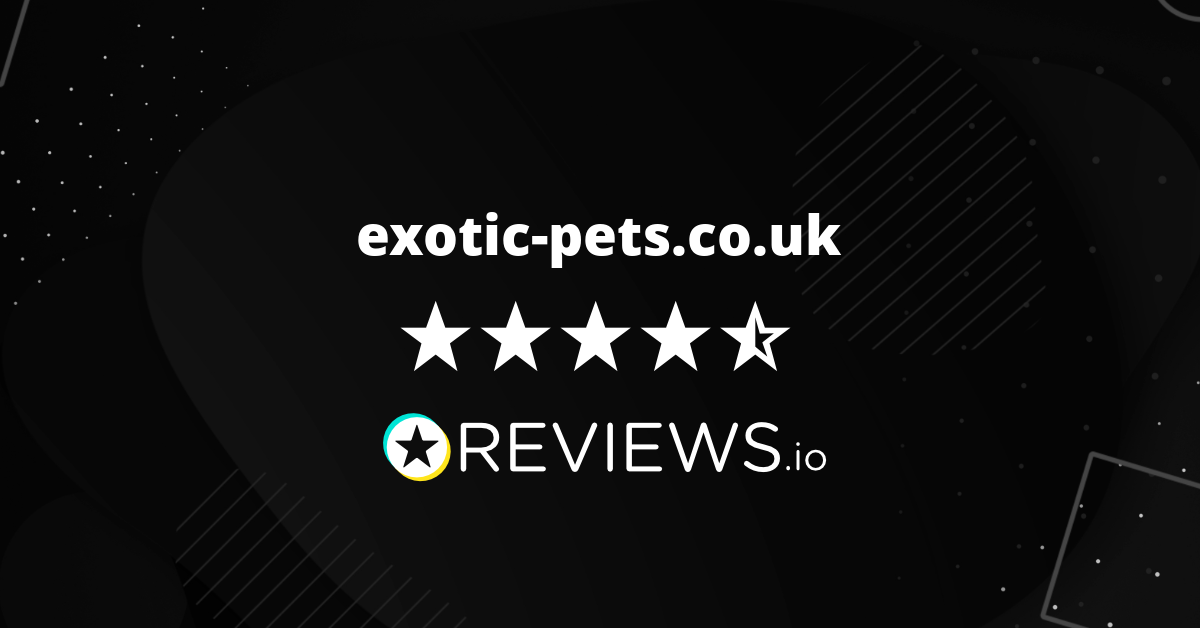 Exotic Pets Co Uk Reviews Read 1 353 Genuine Customer Reviews Www Exotic Pets Co Uk